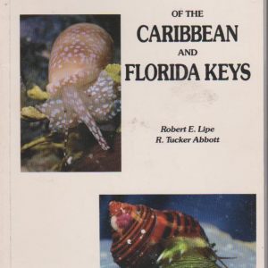 LIVING SHELLS OF THE CARIBBEAN AND FLORIDA KEYS * Robert E. Lipe e R. Tucker Abbot   1991