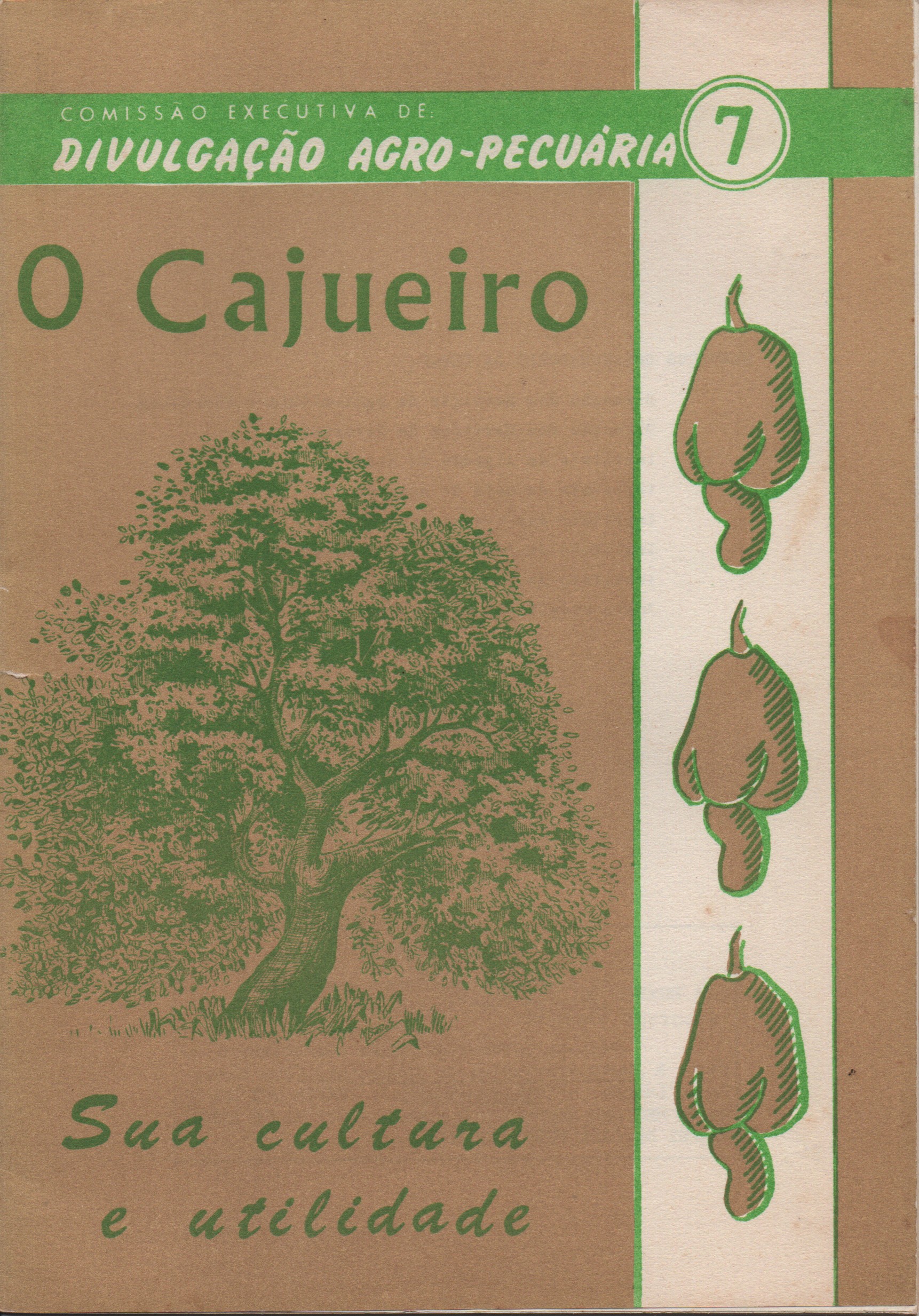 O CAJUEIRO * João Carlos de Barros Martins 1968