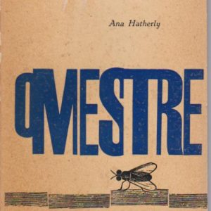 O MESTRE * Ana Hatherly   1ª Edição