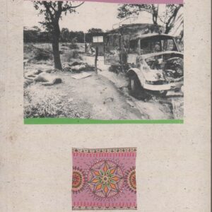 OS “FLECHAS” ATACAM DE NOVO   *  João Paulo Guerra