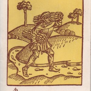 TERRA VERDE * Amândio César    1969