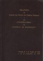 RelatorioDirecaoServiçosNegociosIndigenas